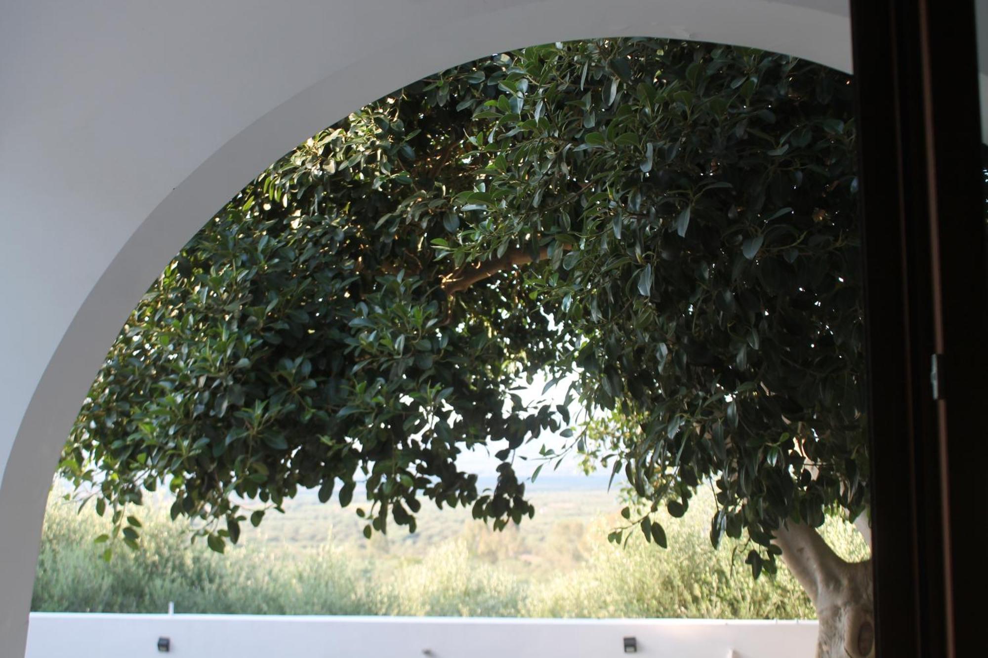 A Crystal Clear House In Pyrgos, Heraklion Crete Pirgos  Kültér fotó